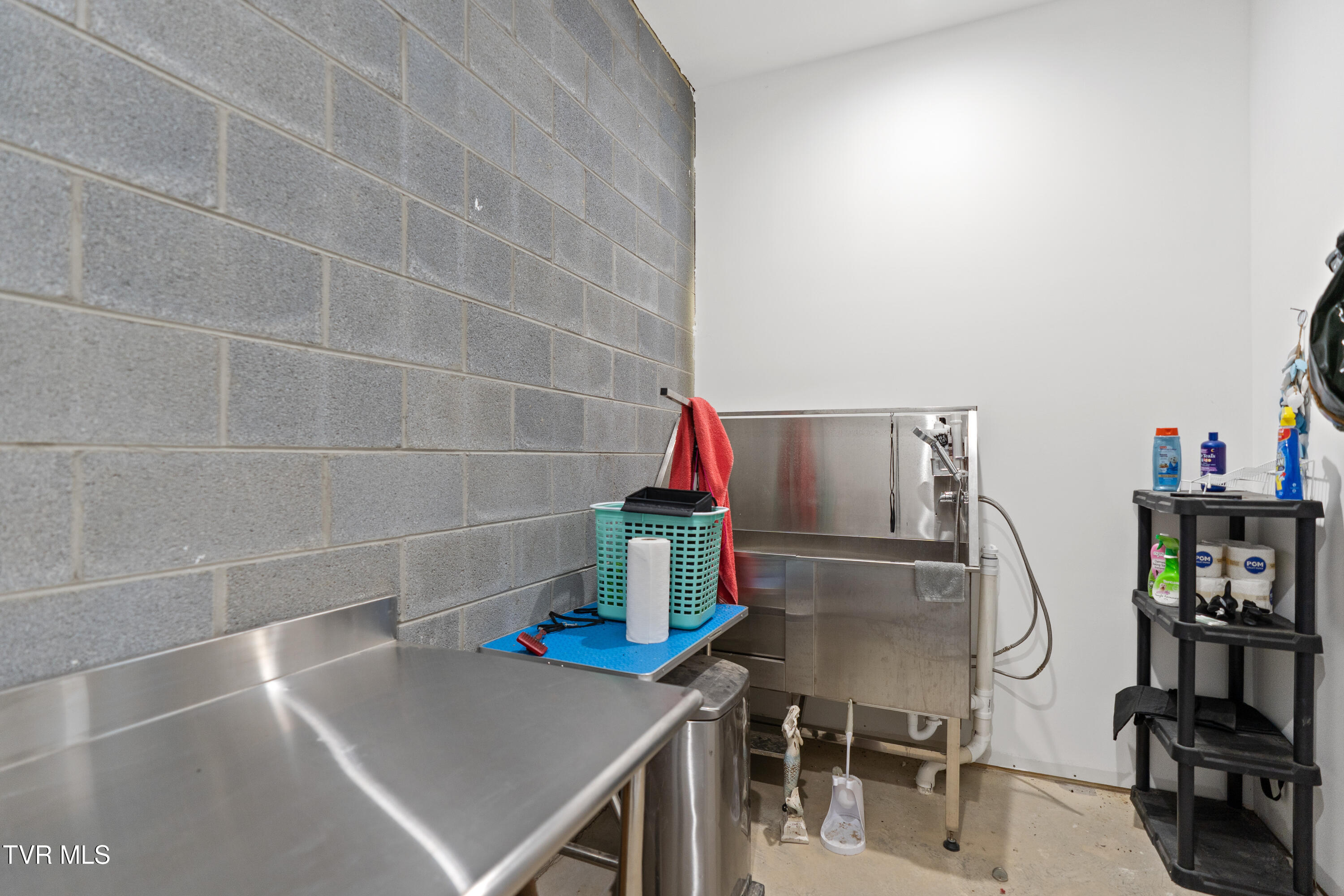 811 Grassy Creek Road Greeneville, TN 37743 - Photo 86 of 101 DSC09251