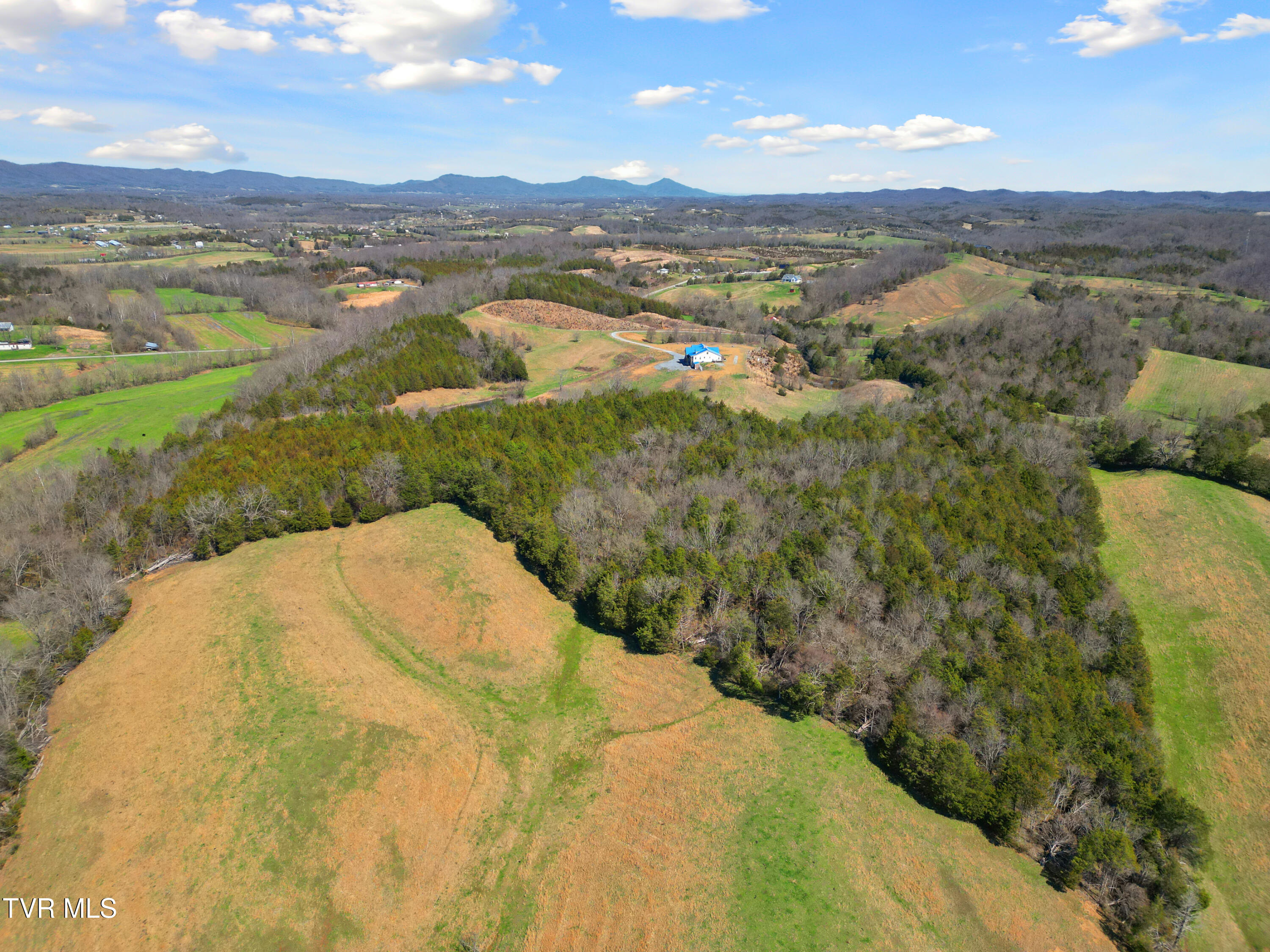 811 Grassy Creek Road Greeneville, TN 37743 - Photo 88 of 101 DJI_0151
