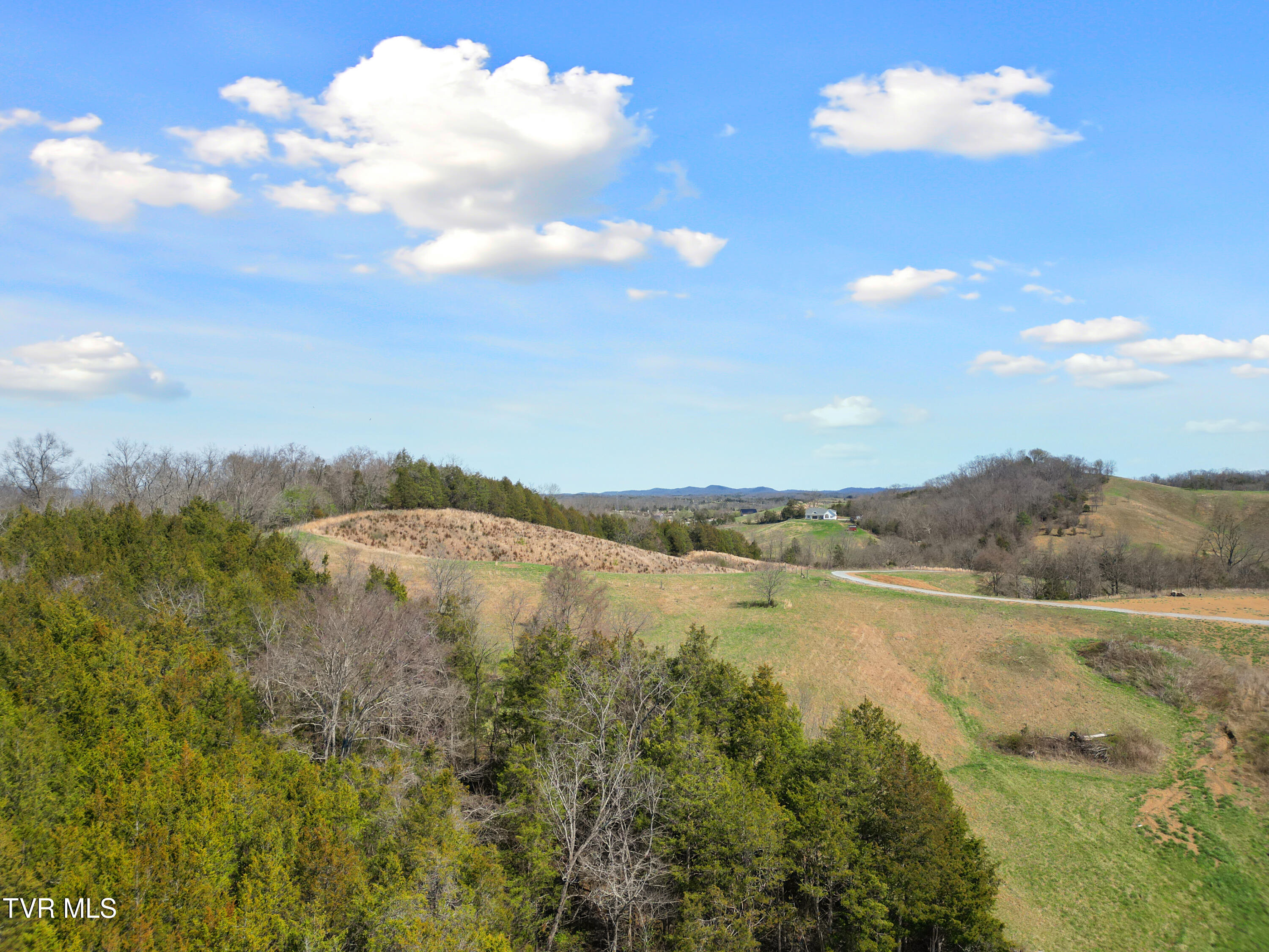 811 Grassy Creek Road Greeneville, TN 37743 - Photo 93 of 101 DJI_0167