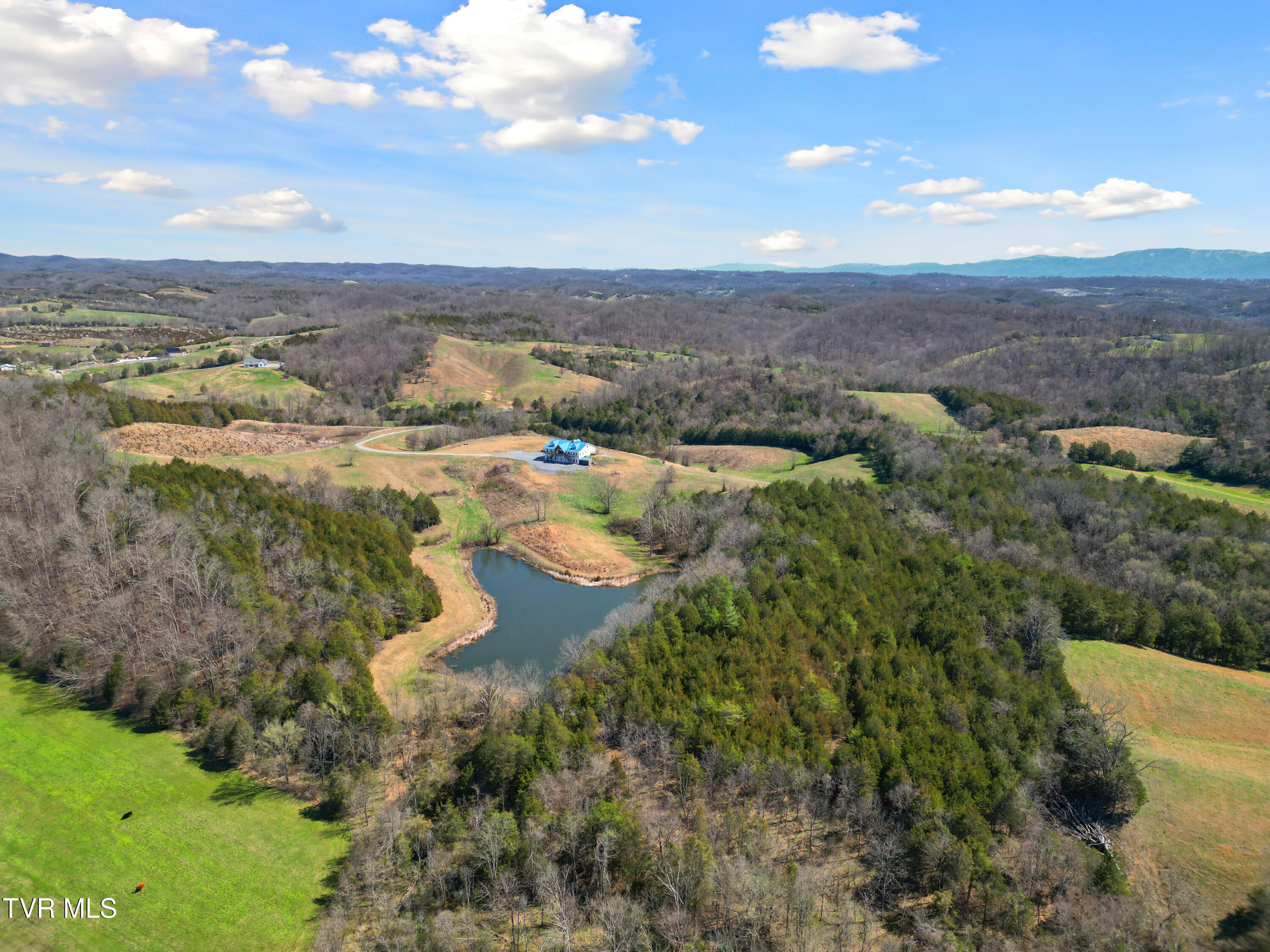 811 Grassy Creek Road Greeneville, TN 37743 - Photo 98 of 101 DJI_0149