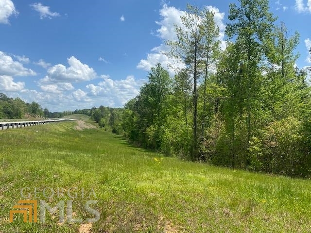 0 River Rd 3 Road Carlton, GA 30627 - Photo 1 of 1 a view of a lake with a yard