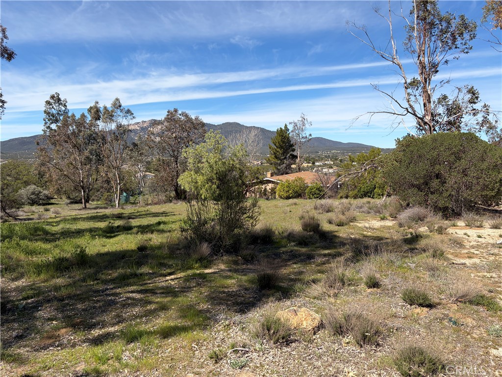 39175 Boulder Way Anza, CA 92539 - Photo 18 of 60 a view of a town with mountains in the background