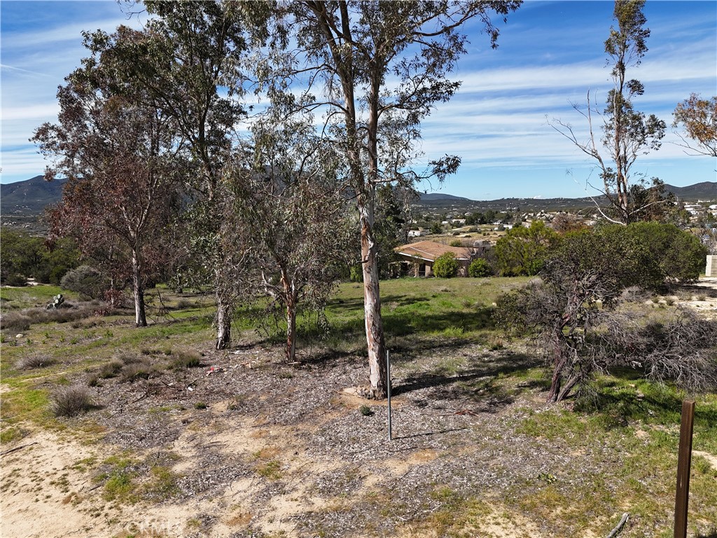39175 Boulder Way Anza, CA 92539 - Photo 20 of 60 a view of a room with a tree