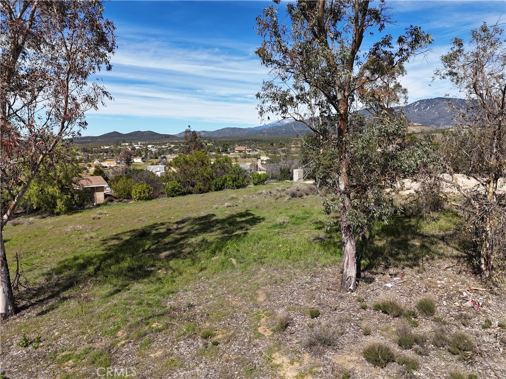 39175 Boulder Way Anza, CA 92539 - Photo 21 of 60 a view of a yard with a tree
