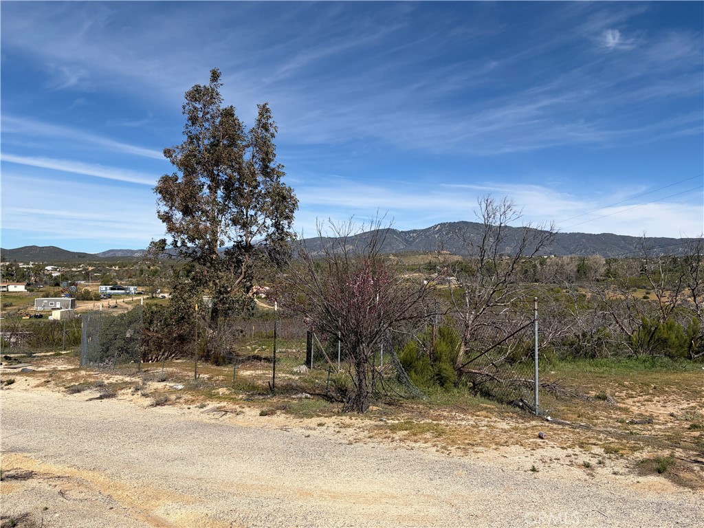 39175 Boulder Way Anza, CA 92539 - Photo 24 of 60 a view of a yard with a tree
