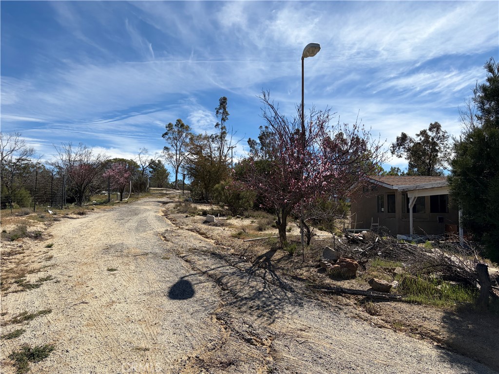 39175 Boulder Way Anza, CA 92539 - Photo 26 of 60 a backyard of a house with lots of green space