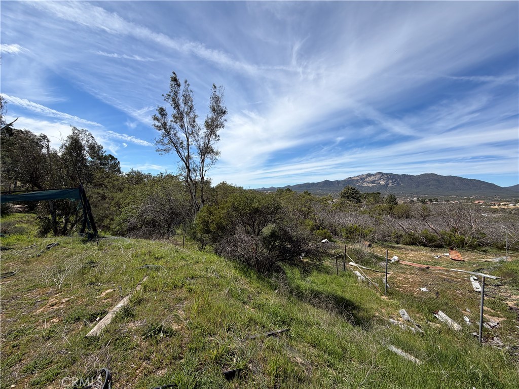 39175 Boulder Way Anza, CA 92539 - Photo 30 of 60 a view of a dry yard with green space