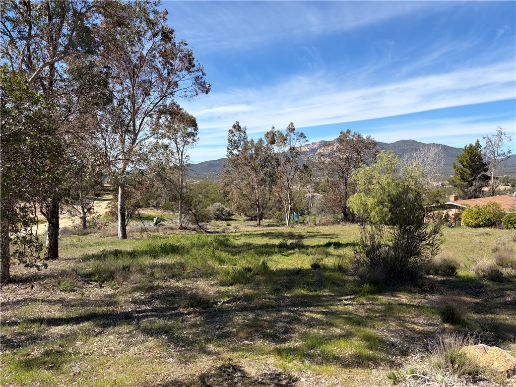 39175 Boulder Way Anza, CA 92539 - Photo 3 of 60 a view of a field with trees around