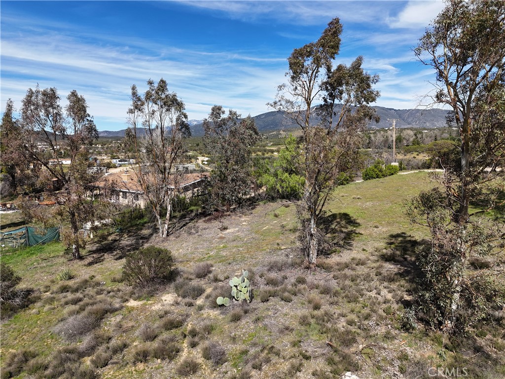 39175 Boulder Way Anza, CA 92539 - Photo 59 of 60 a view of a yard in front of a house