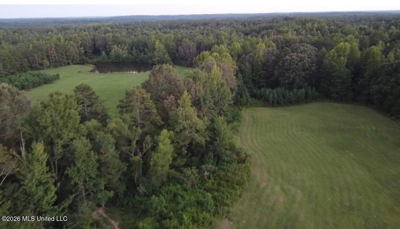 873 Glass Road Michigan City, MS 38647 - Photo 14 of 22 IMG_2500