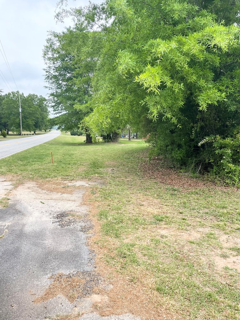 344 Olin Smith Road Donalds, SC 29638 - Photo 4 of 11