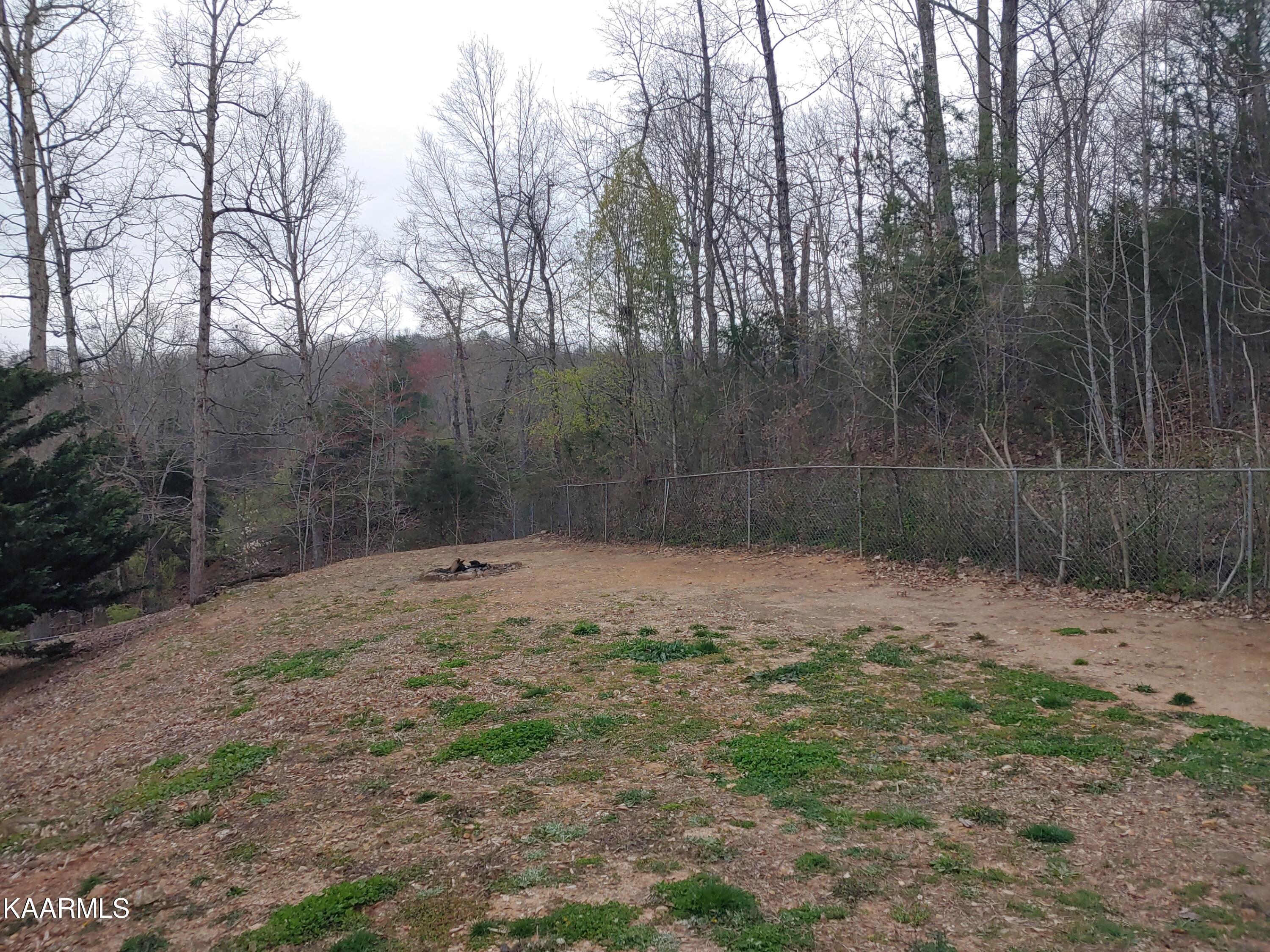 131 Duke Lane Luttrell, TN 37779 - Photo 26 of 29 1 Yard 1