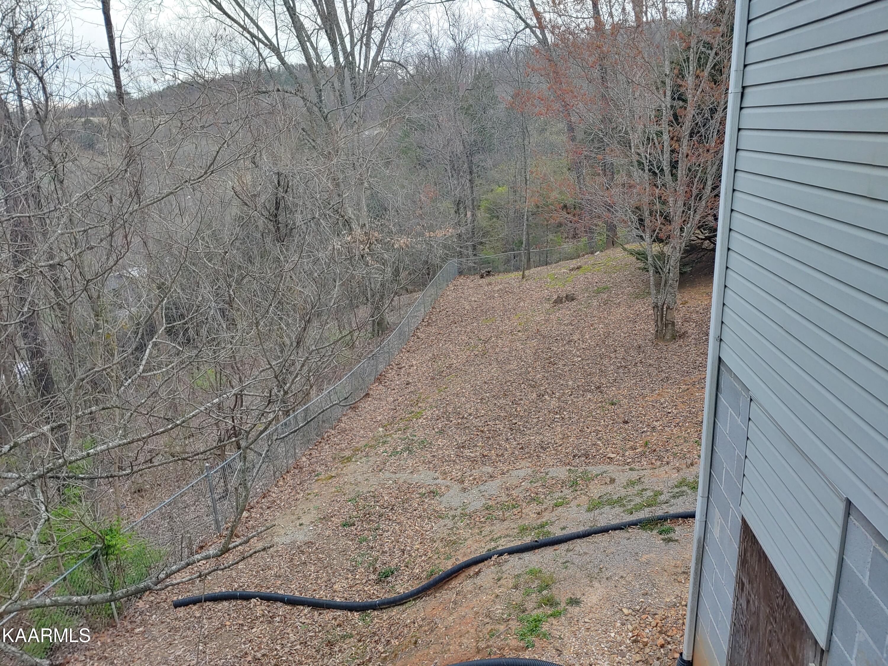 131 Duke Lane Luttrell, TN 37779 - Photo 29 of 29 Back yard side deck view