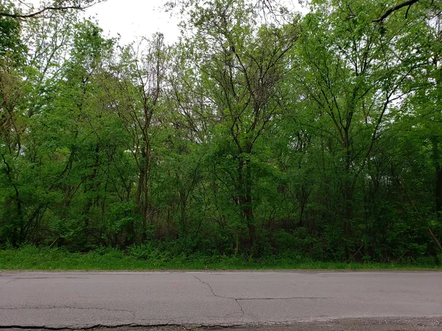 $44,900 | 124 West Oak Avenue, Lockport, IL 60441