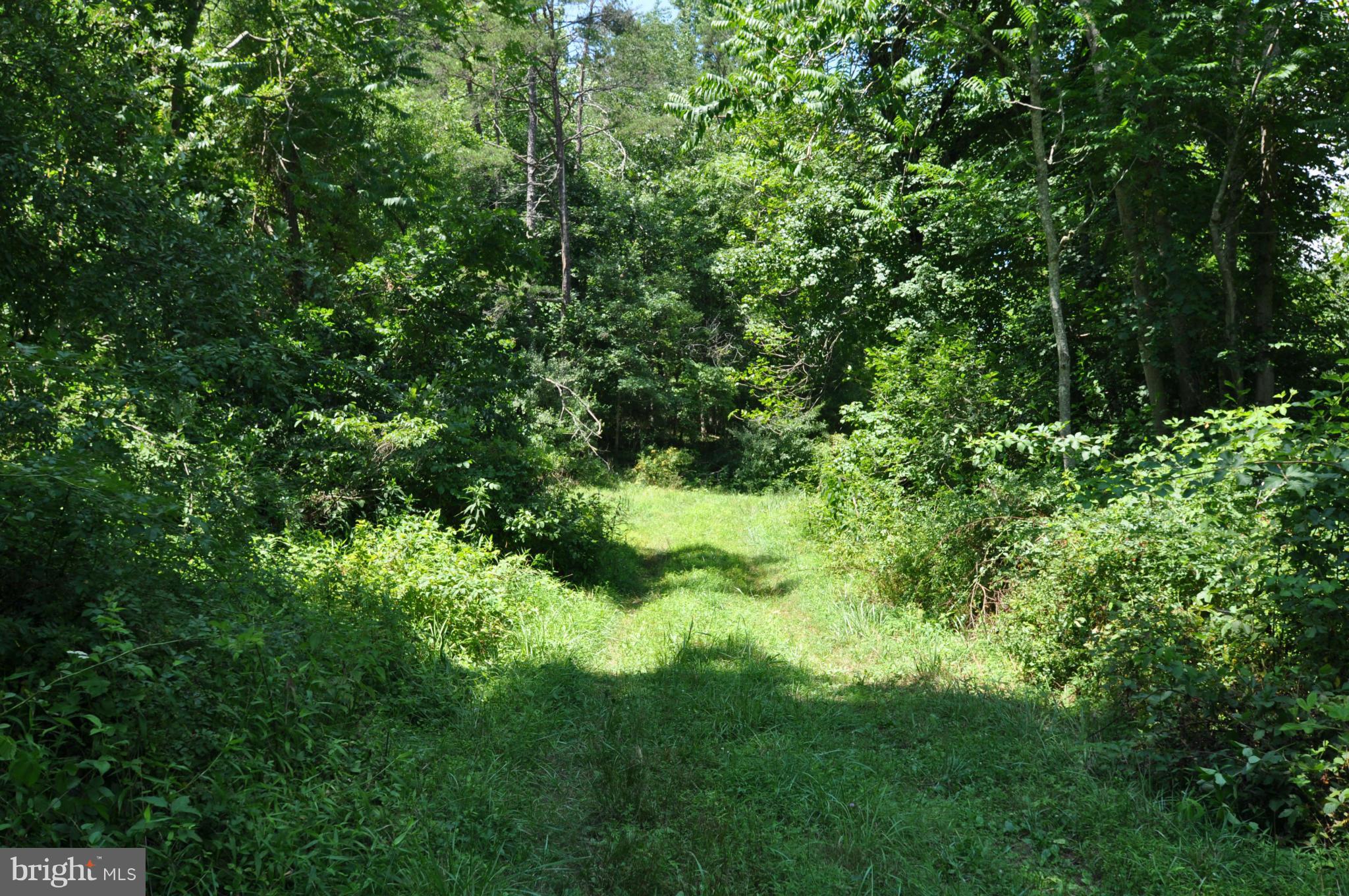 284 Lyle Road Washington, VA 22747 - Photo 12 of 13 Lower Driveway
