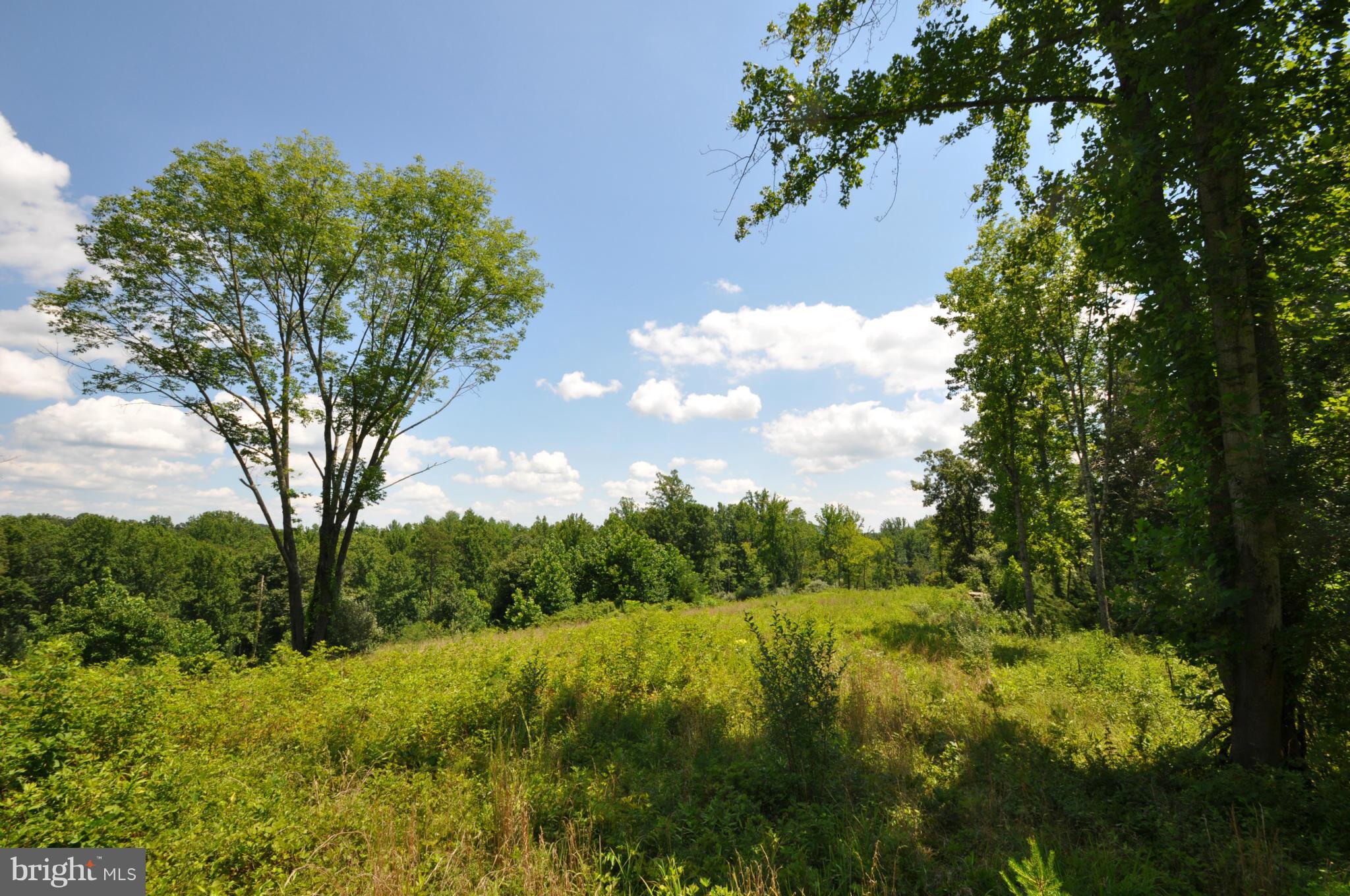 284 Lyle Road Washington, VA 22747 - Photo 5 of 13 Potential Home Site