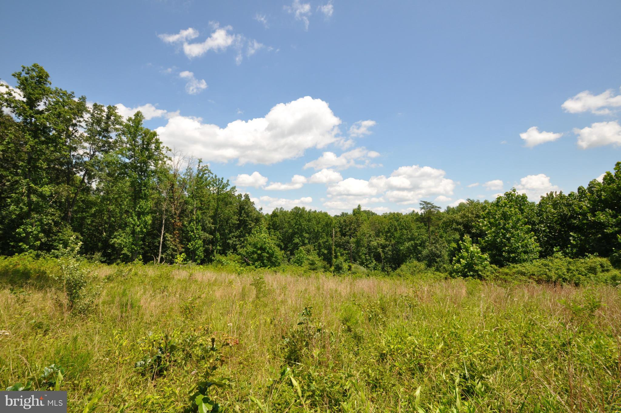 284 Lyle Road Washington, VA 22747 - Photo 6 of 13 Field
