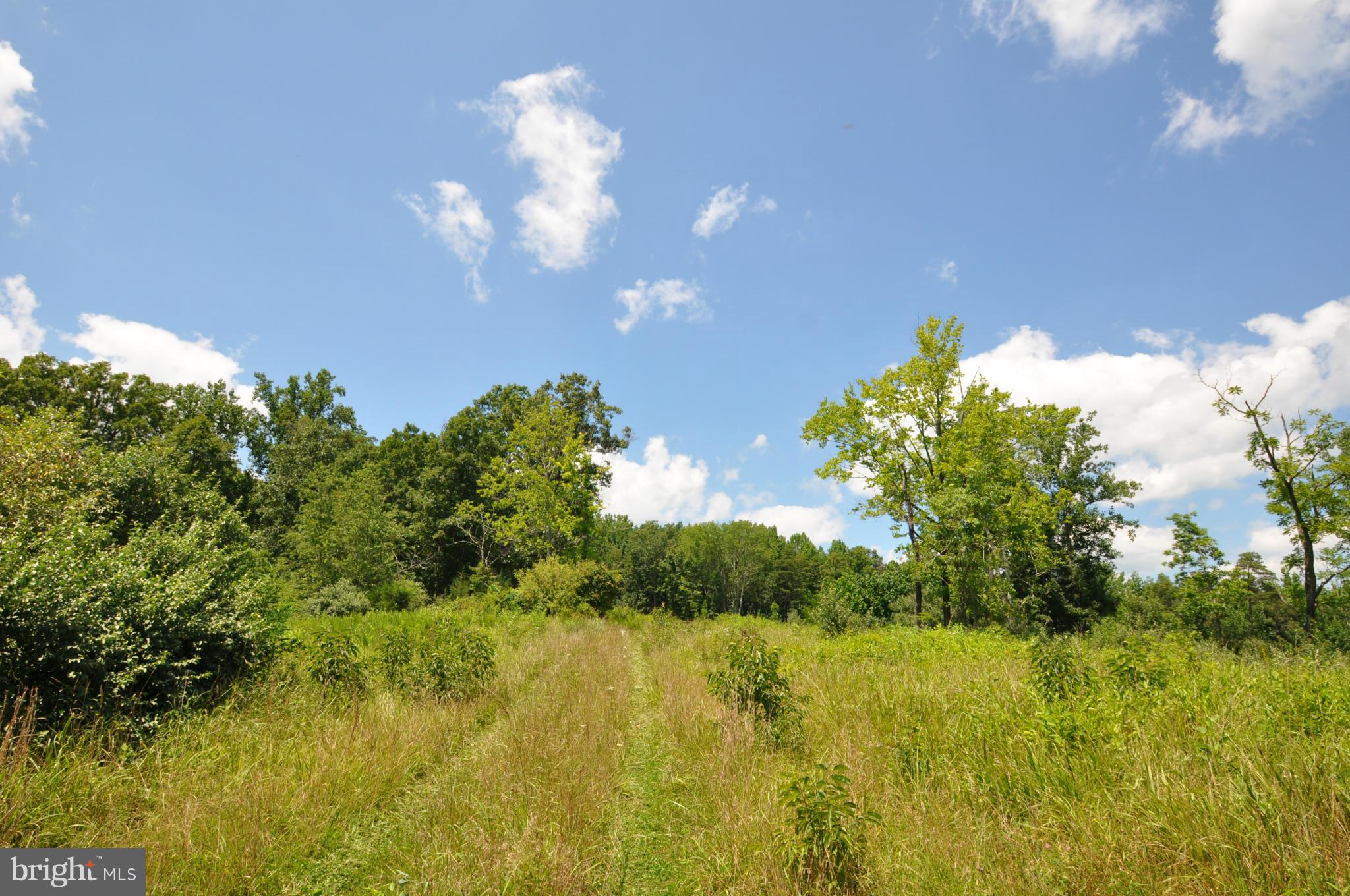 284 Lyle Road Washington, VA 22747 - Photo 7 of 13 Driveway to Primary Home Site