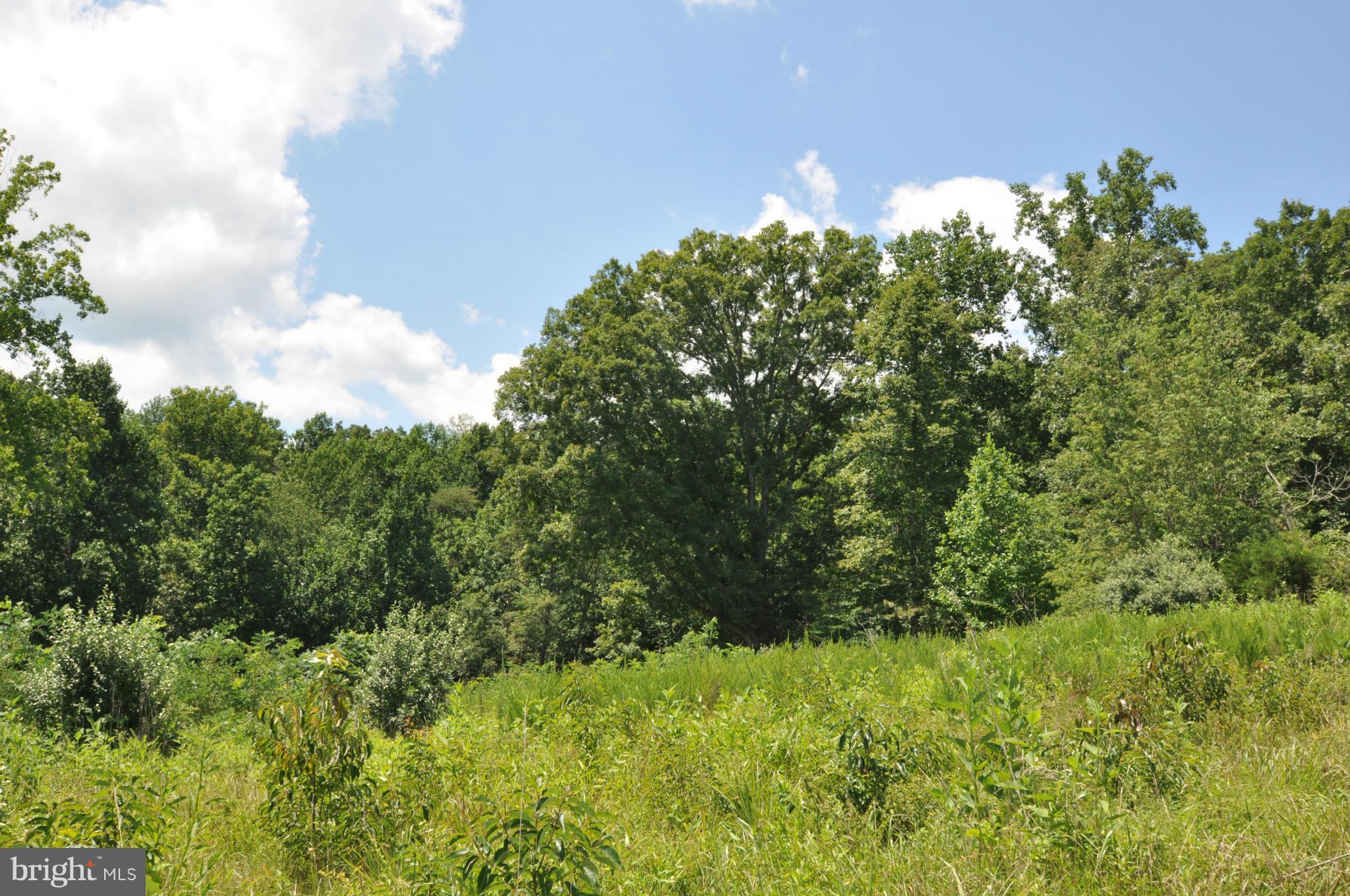 284 Lyle Road Washington, VA 22747 - Photo 8 of 13 Lower Woods