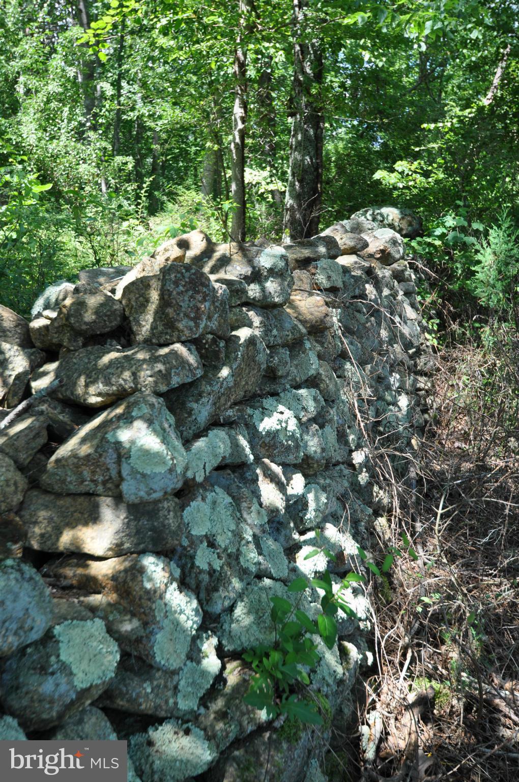 284 Lyle Road Washington, VA 22747 - Photo 10 of 13 Old Stone Wall