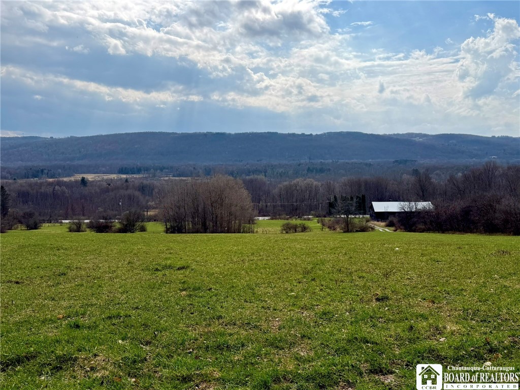 3640 Gerry Levant Road Ellicott, NY 14733 - Photo 25 of 31