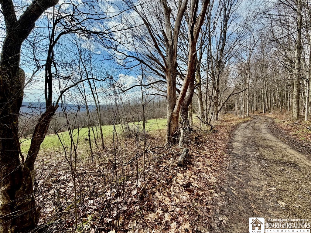 3640 Gerry Levant Road Ellicott, NY 14733 - Photo 26 of 31