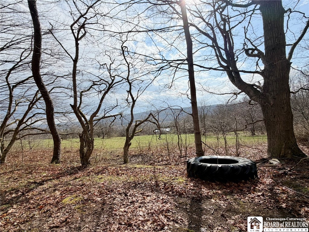 3640 Gerry Levant Road Ellicott, NY 14733 - Photo 27 of 31