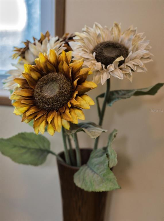 6689 Southeast 55th Street Trenton, FL 32693 - Photo 37 of 83 a vase of flowers sitting on a table