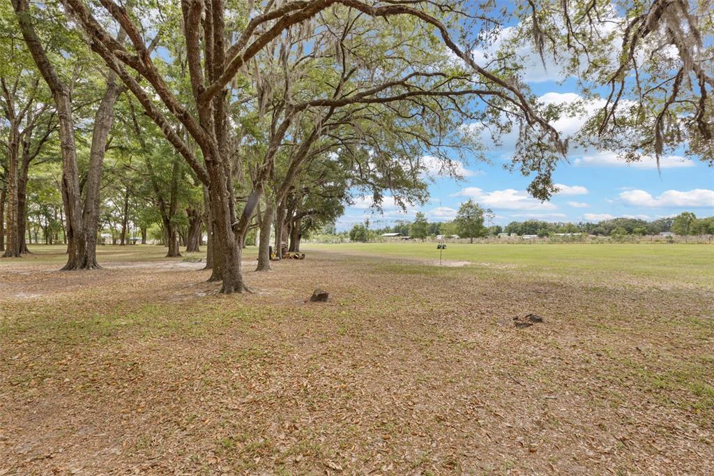 6689 Southeast 55th Street Trenton, FL 32693 - Photo 62 of 83