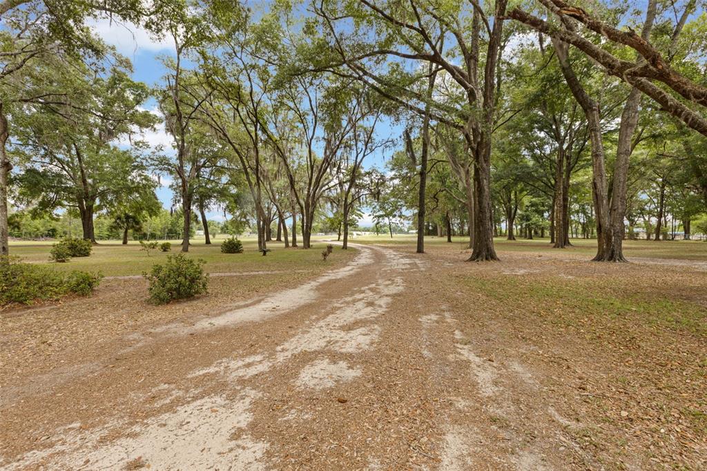 6689 Southeast 55th Street Trenton, FL 32693 - Photo 63 of 83
