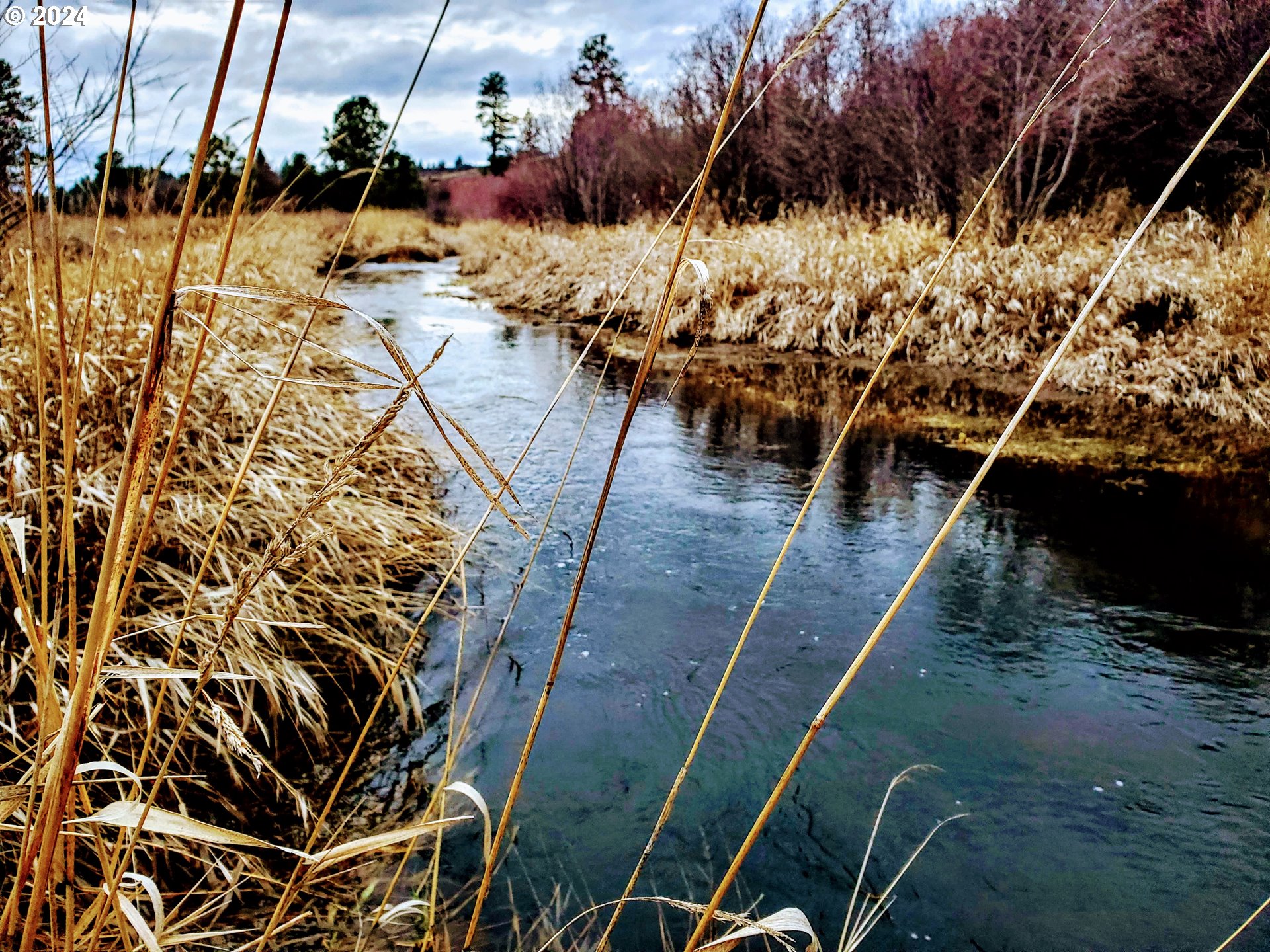 19 Newton Road Centerville, WA 98613 - Photo 12 of 48 a view of outdoor space with seating area