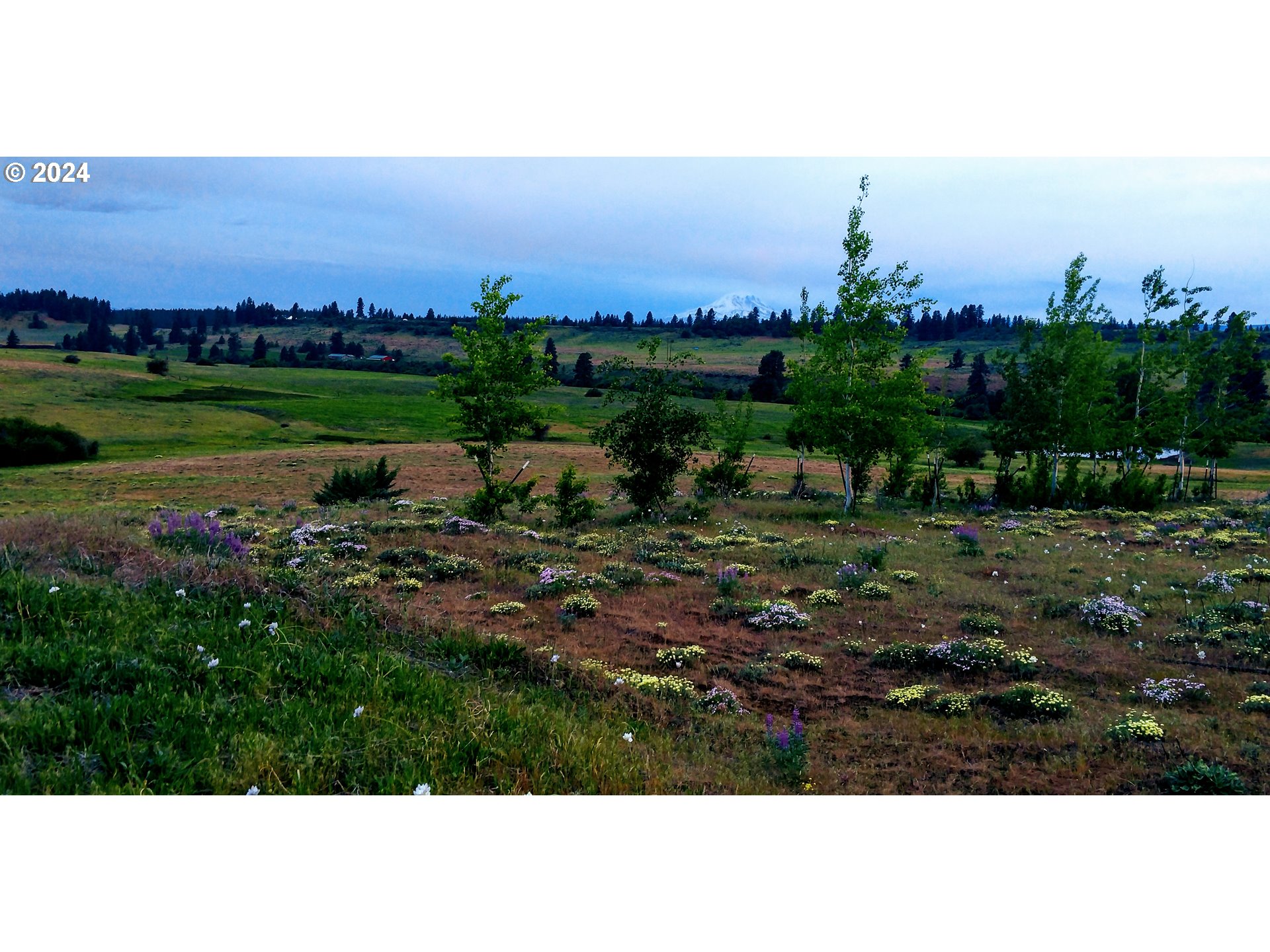 19 Newton Road Centerville, WA 98613 - Photo 19 of 48 a view of a lake with a city