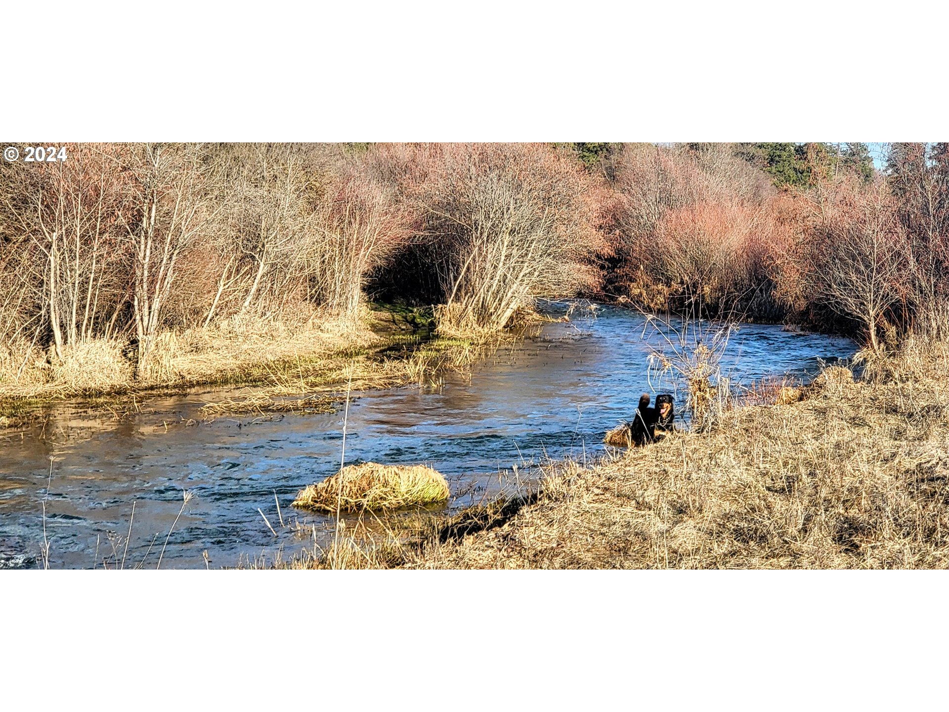 19 Newton Road Centerville, WA 98613 - Photo 2 of 48 a view of ocean view