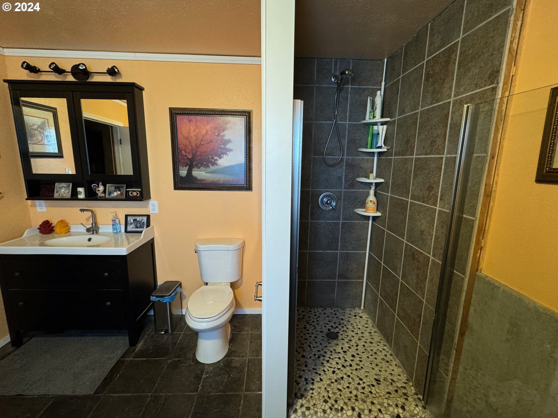 19 Newton Road Centerville, WA 98613 - Photo 24 of 48 a bathroom with a sink a toilet and shower