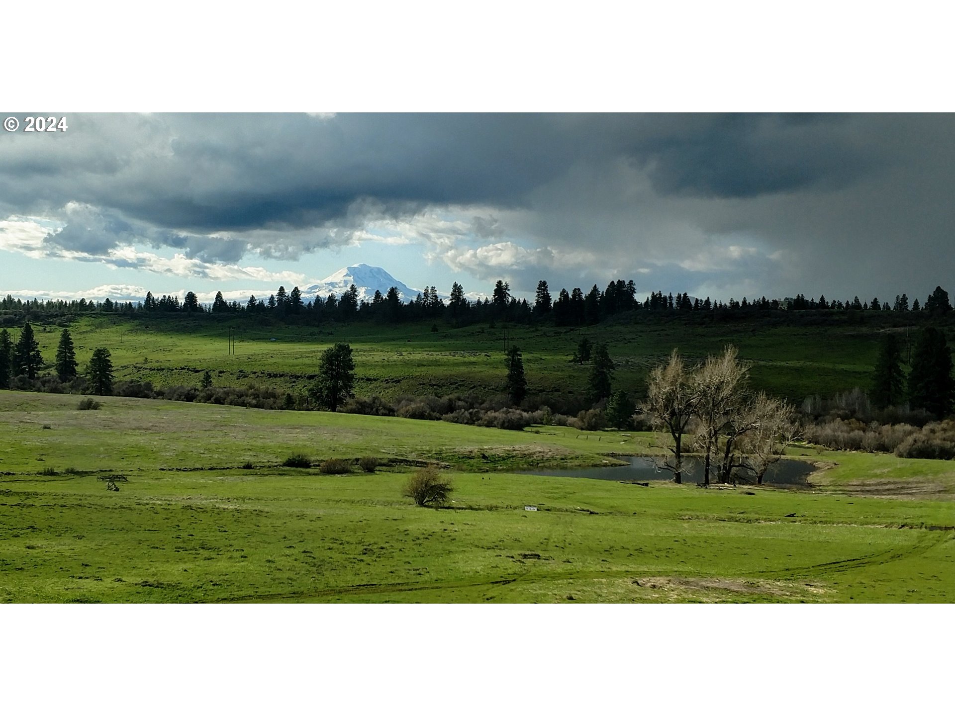 19 Newton Road Centerville, WA 98613 - Photo 39 of 48 a black and white photo of a lake