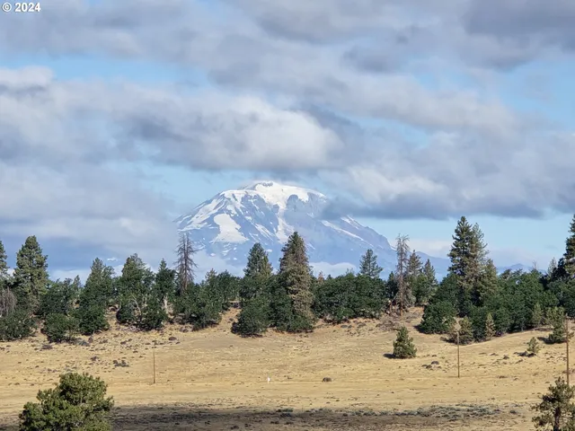 a view of a ocean beach
