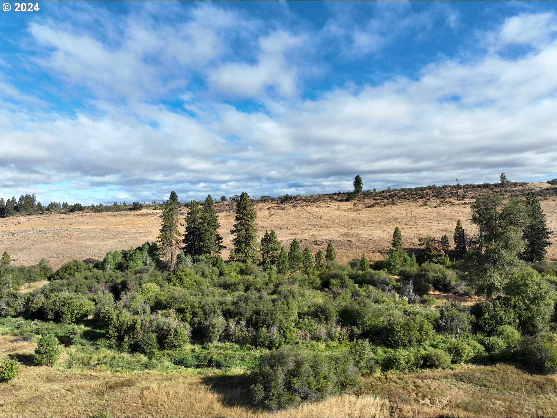 19 Newton Road Centerville, WA 98613 - Photo 41 of 48 a view of a lake with houses in the back