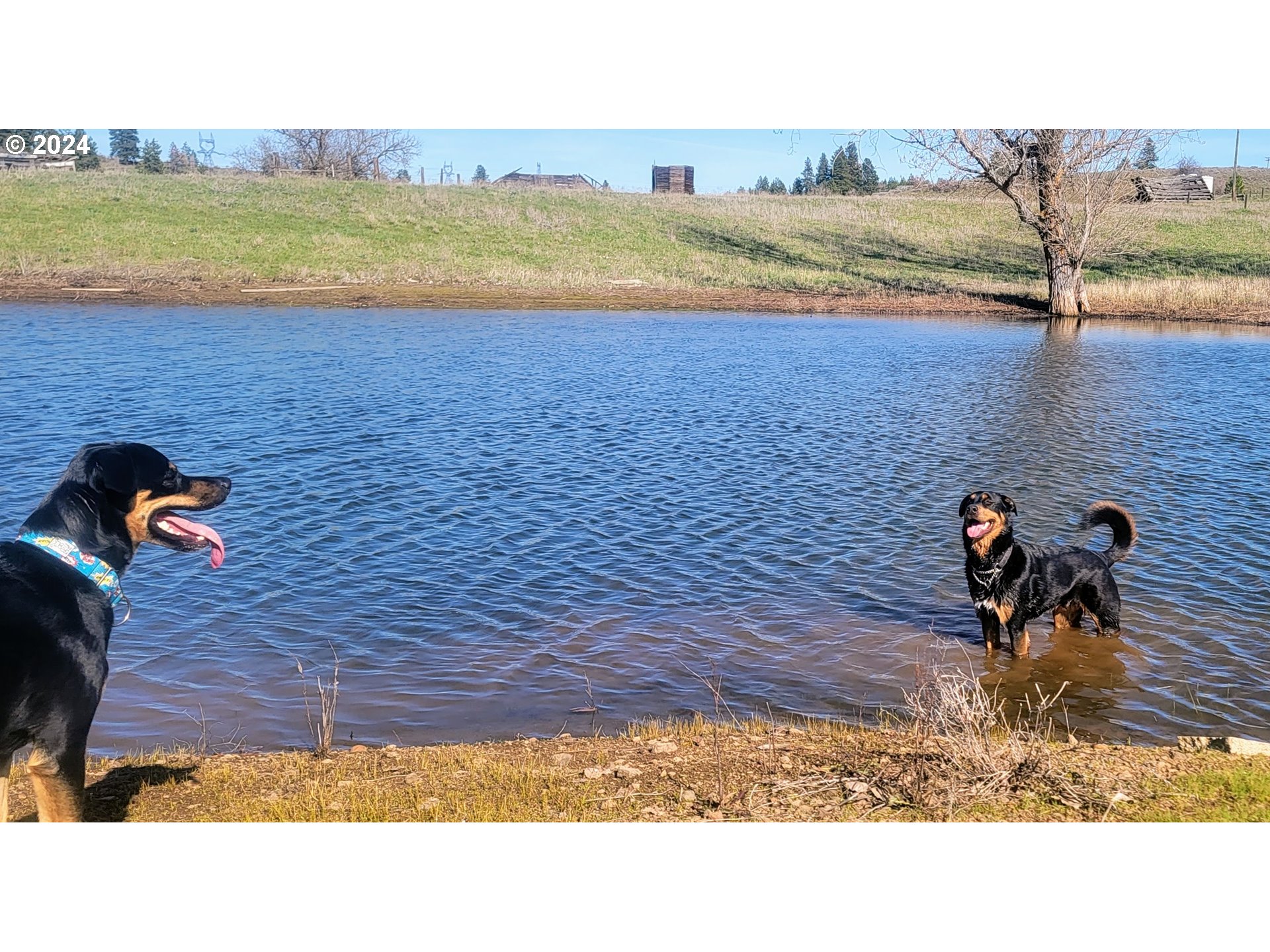 19 Newton Road Centerville, WA 98613 - Photo 43 of 48 a view of a ocean beach