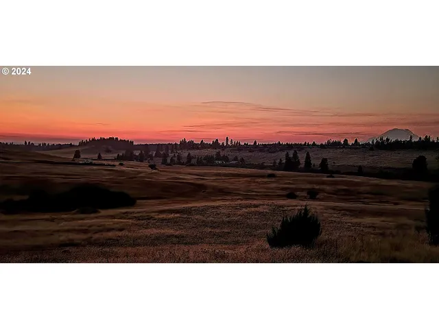 $315,000 | 19 Newton Road, Centerville, WA 98613