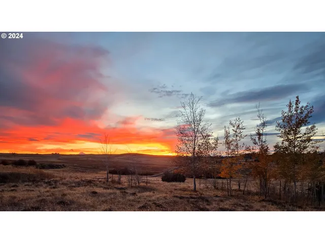 $315,000 | 19 Newton Road, Centerville, WA 98613