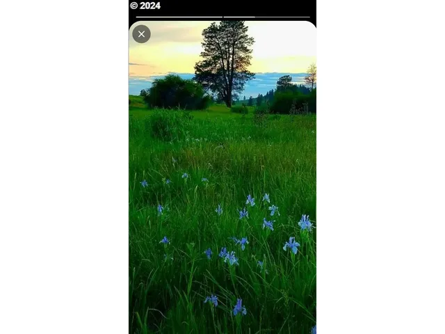 $315,000 | 19 Newton Road, Centerville, WA 98613