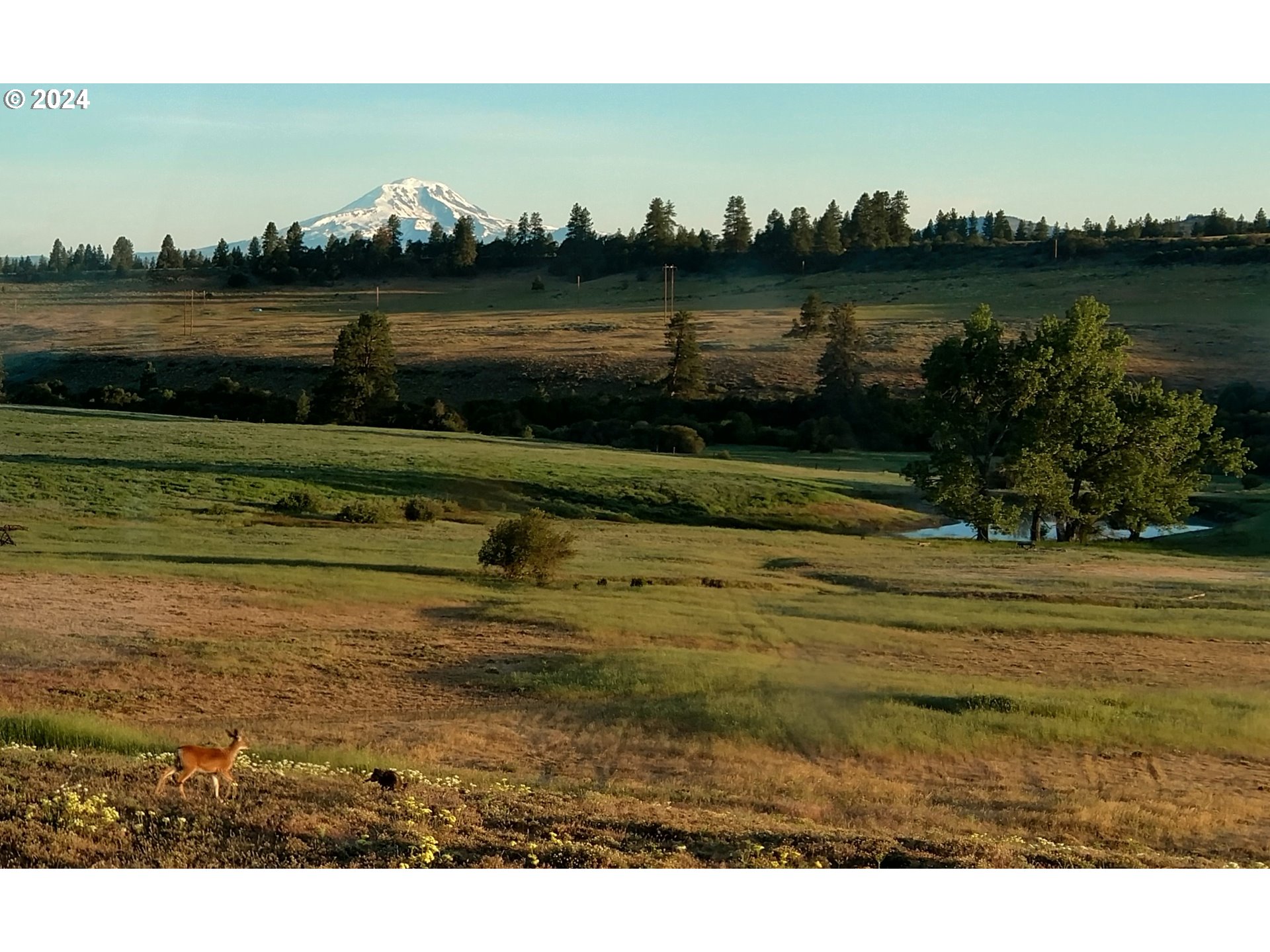 19 Newton Road Centerville, WA 98613 - Photo 6 of 48 a view of a lake from a yard