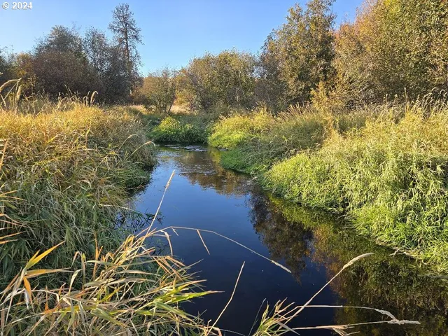a view of a yard and an outdoor space