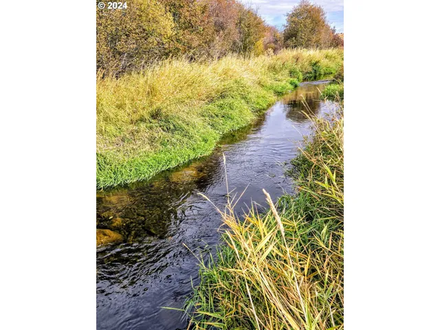 a view of a yard with an ocean view
