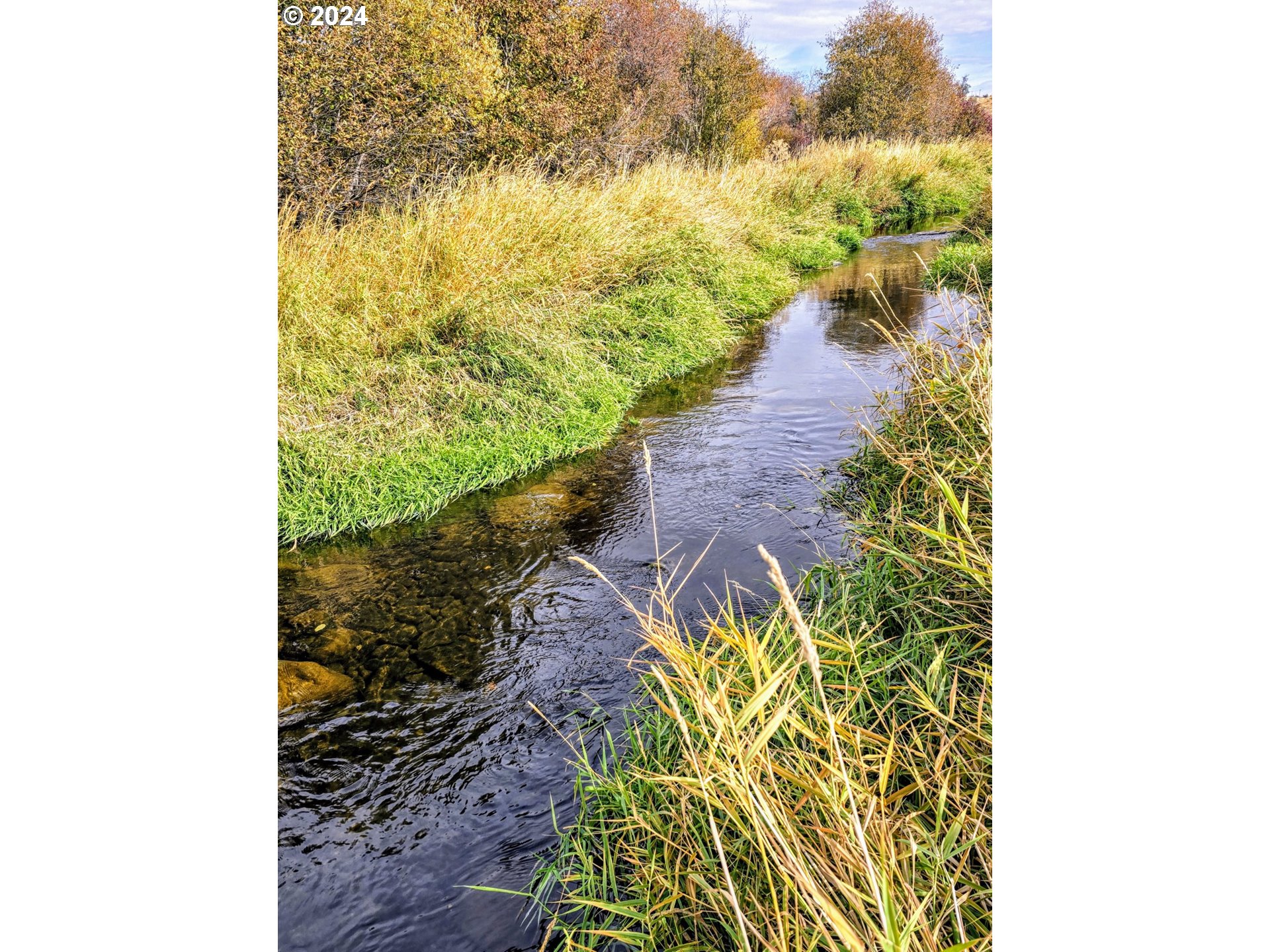 19 Newton Road Centerville, WA 98613 - Photo 10 of 48 a view of a yard with an ocean view