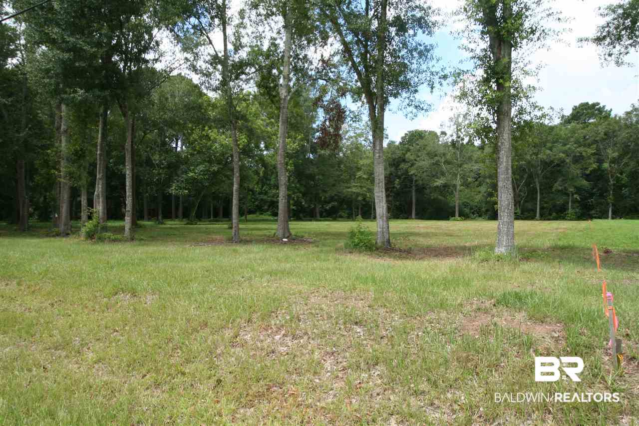 Douglas Road Grand Bay, AL 36541 - Photo 3 of 6