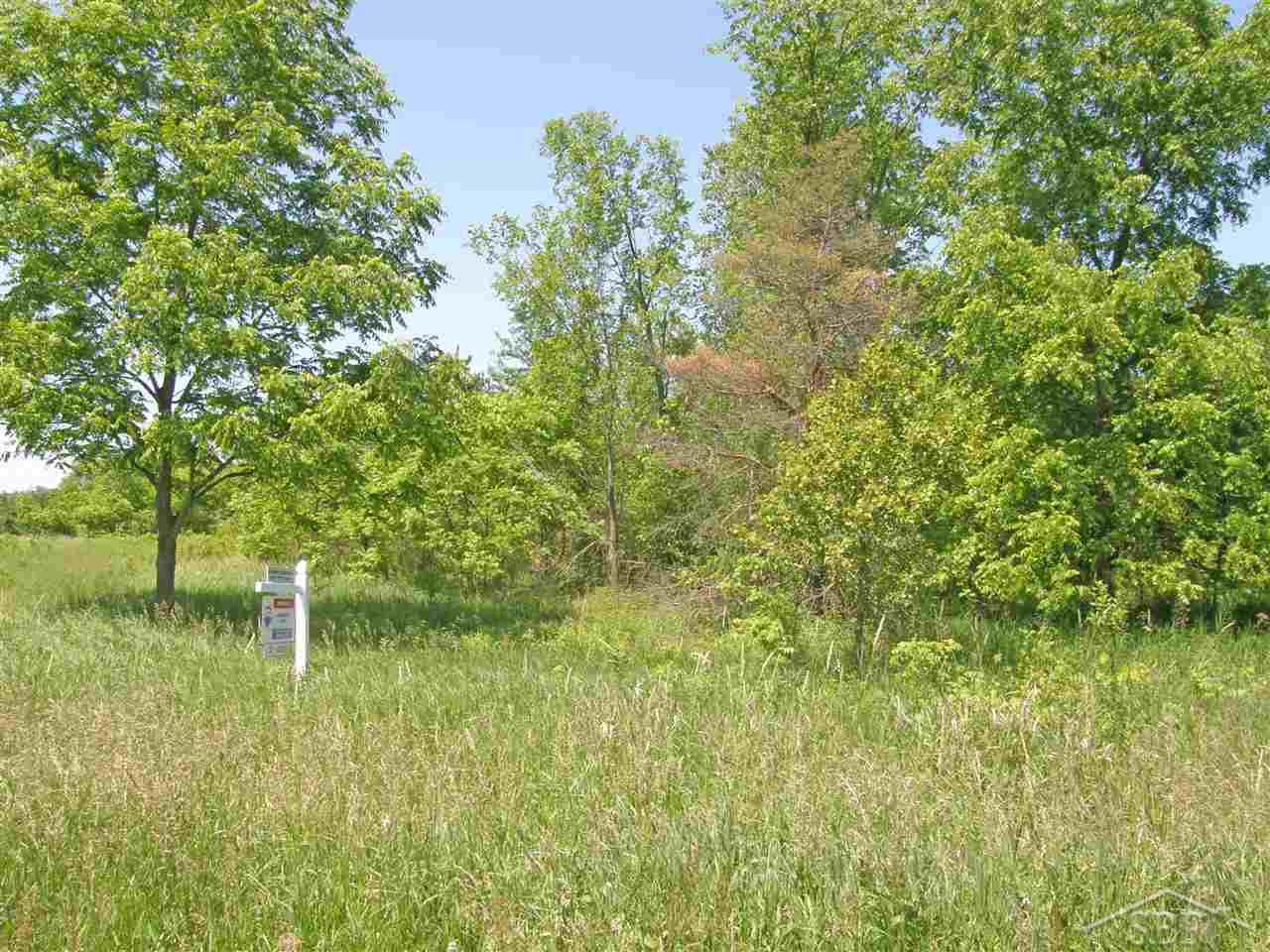 Bishop Road St. Charles, MI 48655 - Photo 2 of 2