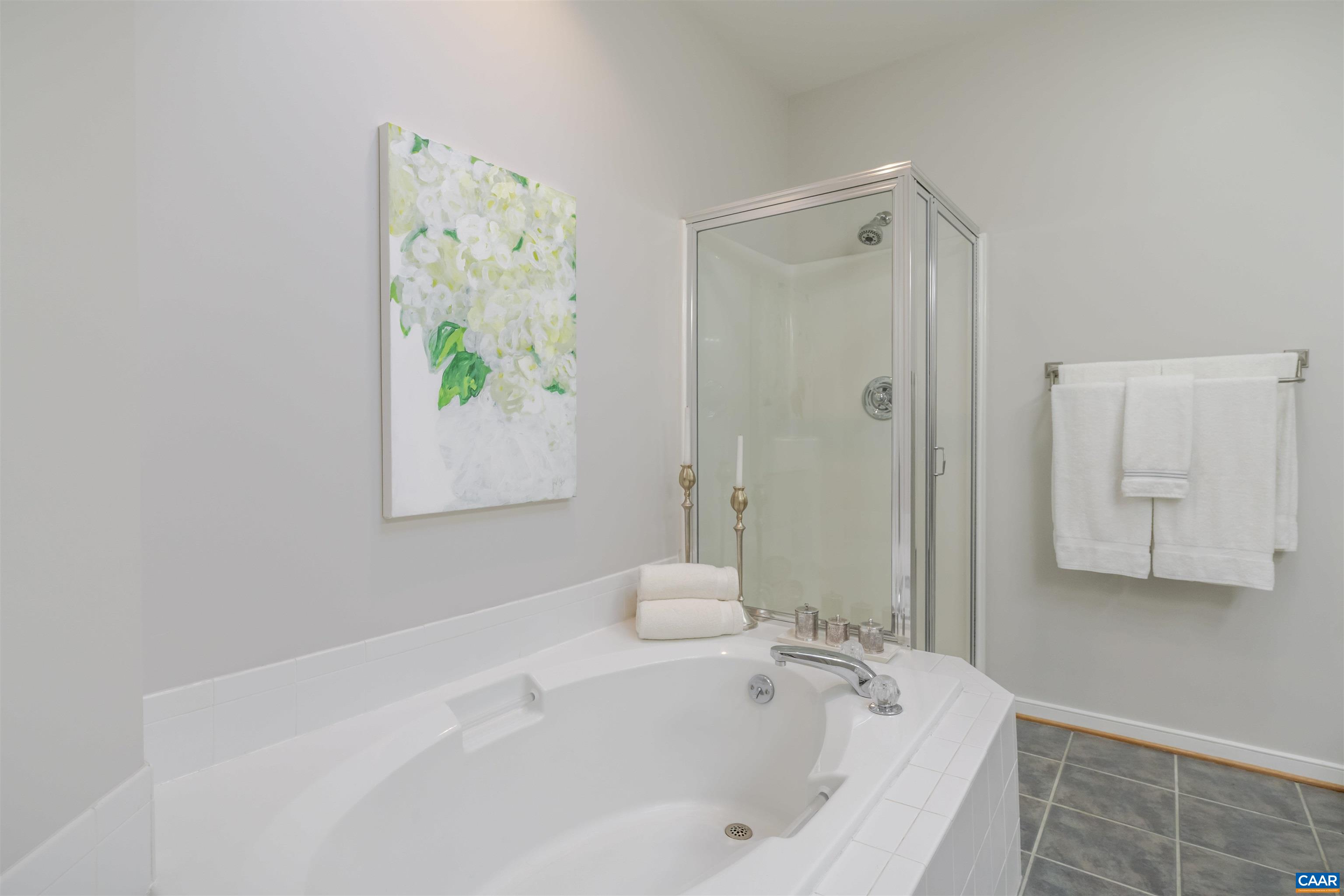 1322 Stonegate Court Crozet, VA 22932 - Photo 21 of 39 a bathroom with a bathtub and a shower