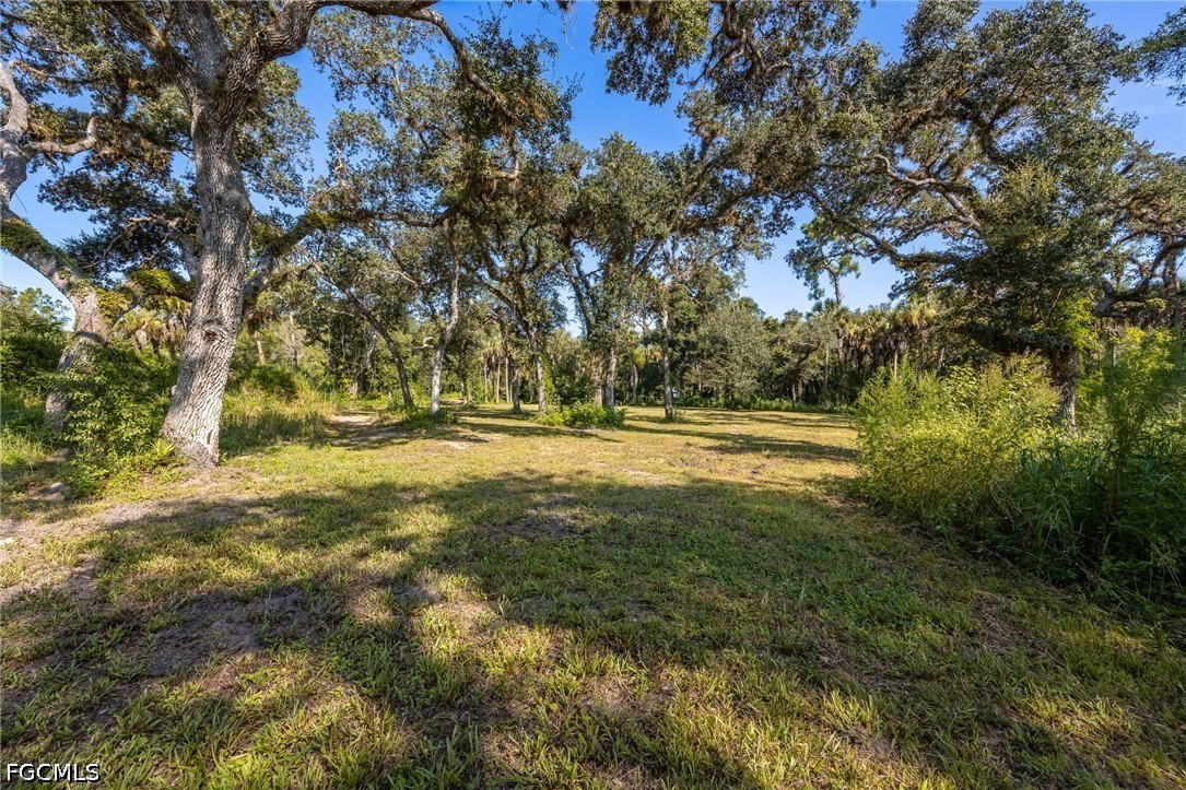 19040 Fox Run Road Alva, FL 33920 - Photo 6 of 42 Gallery Image 6