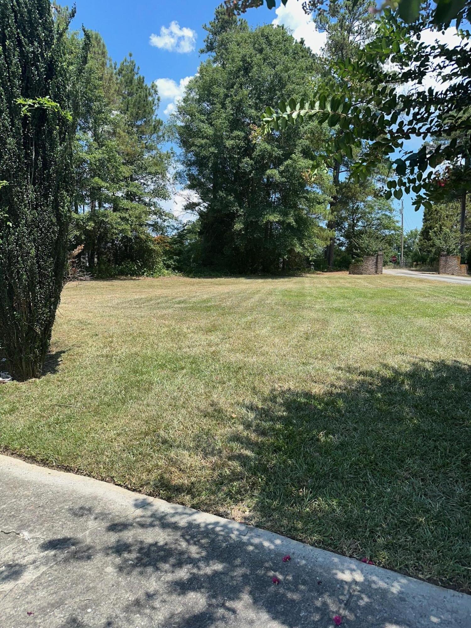 520 South Point Drive Gilbert, SC 29054 - Photo 113 of 118